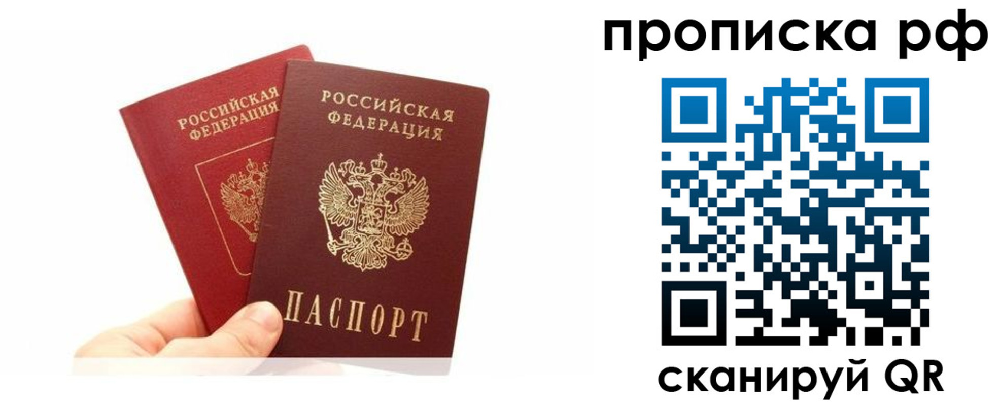 временная регистрация поиск в Луге